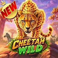 Ilustrasi game Cheetah Wild